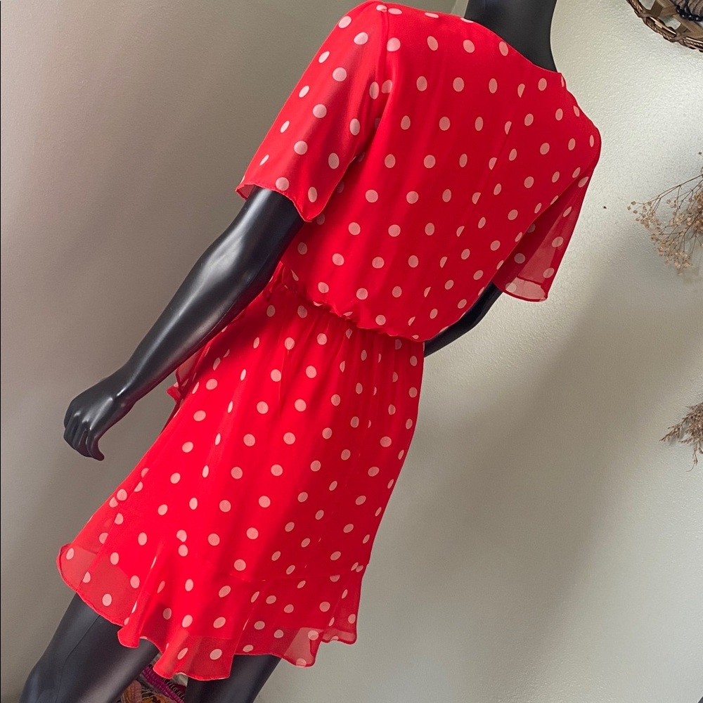 Miami Red and White Polka Dot Mini Sheer Dress - Picture 7 of 13